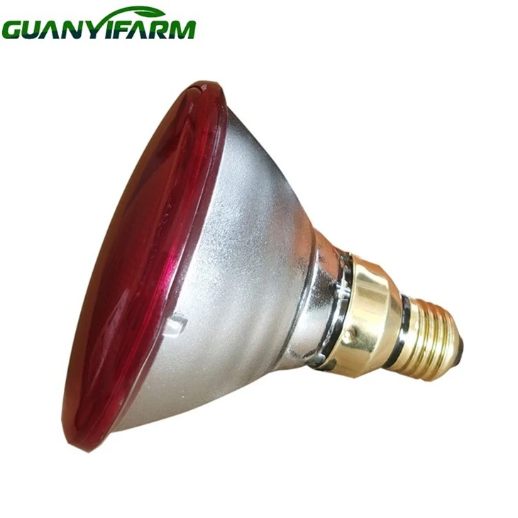 Ir Heat Bulb