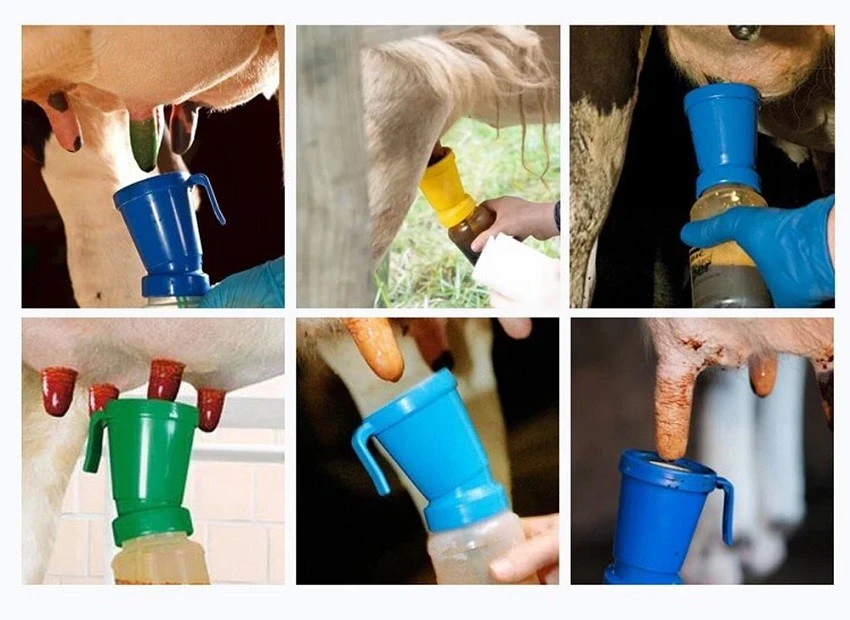 Application of 300ml Cow dip cup Application of 300ml Cow dip cup