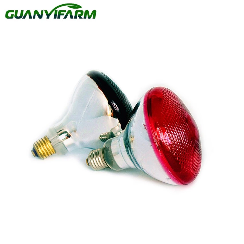 detail of infrared bulbs for chicks detail of infrared bulbs for chicks